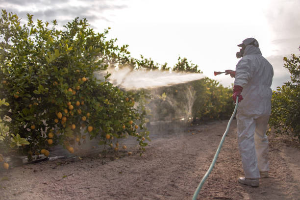 Best Bed Bug Extermination  in Chardon, OH
