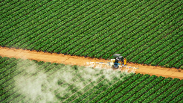 Pest Prevention Services in Chardon, OH