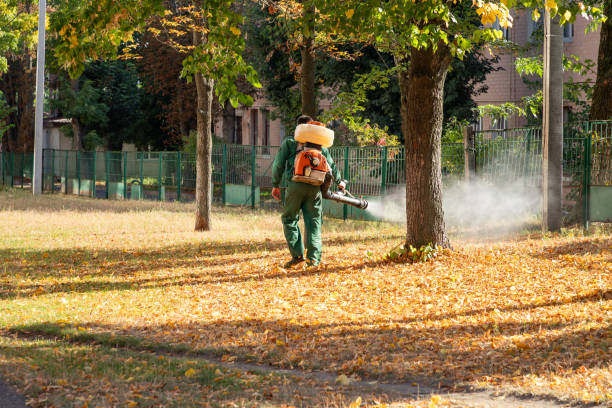 Reliable Chardon, OH Pest Control Solutions