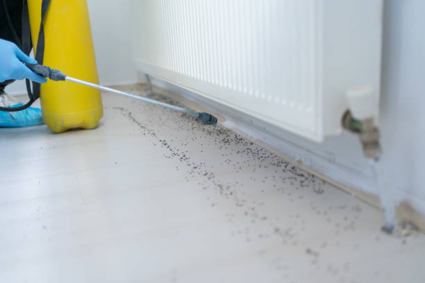 Best Commercial Pest Control Services  in Chardon, OH