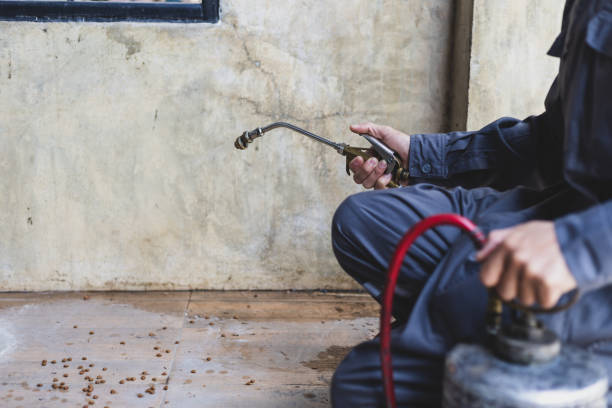 Best Termite Control Services  in Chardon, OH